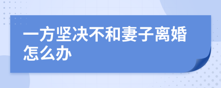 一方坚决不和妻子离婚怎么办