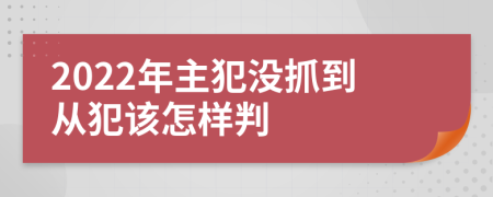 2022年主犯没抓到从犯该怎样判