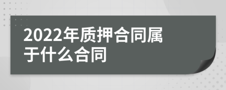 2022年质押合同属于什么合同