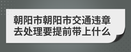 朝阳市朝阳市交通违章去处理要提前带上什么