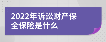 2022年诉讼财产保全保险是什么