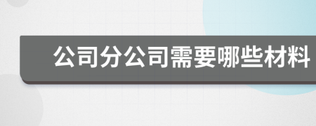 公司分公司需要哪些材料