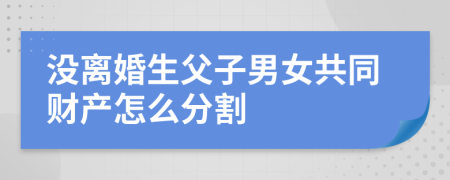 没离婚生父子男女共同财产怎么分割