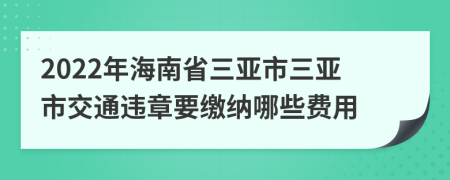 2022年海南省三亚市三亚市交通违章要缴纳哪些费用