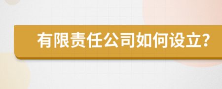 有限责任公司如何设立？