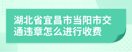 湖北省宜昌市当阳市交通违章怎么进行收费