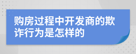 购房过程中开发商的欺诈行为是怎样的