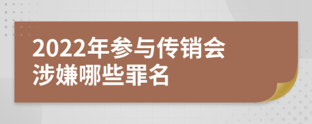 2022年参与传销会涉嫌哪些罪名