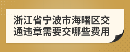 浙江省宁波市海曙区交通违章需要交哪些费用