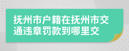 抚州市户籍在抚州市交通违章罚款到哪里交
