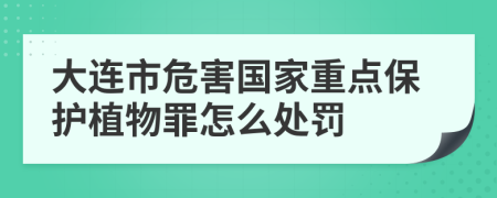 大连市危害国家重点保护植物罪怎么处罚