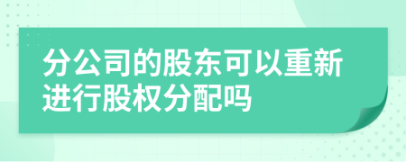 分公司的股东可以重新进行股权分配吗