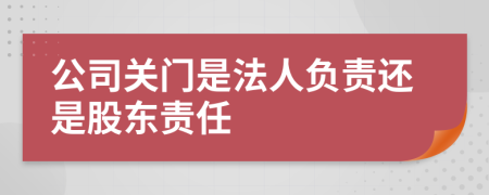 公司关门是法人负责还是股东责任