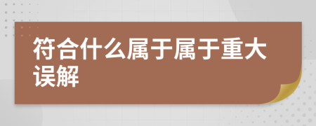 符合什么属于属于重大误解