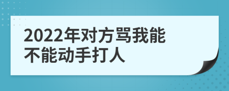 2022年对方骂我能不能动手打人