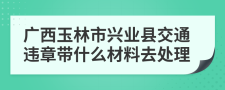 广西玉林市兴业县交通违章带什么材料去处理