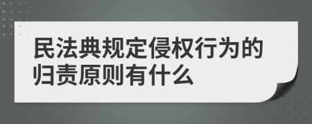 民法典规定侵权行为的归责原则有什么