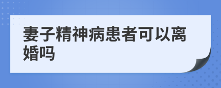 妻子精神病患者可以离婚吗