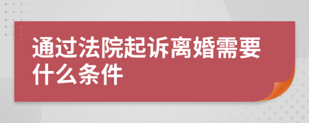 通过法院起诉离婚需要什么条件