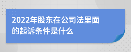 2022年股东在公司法里面的起诉条件是什么