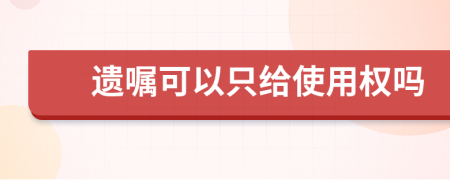 遗嘱可以只给使用权吗