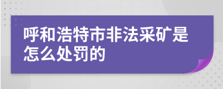 呼和浩特市非法采矿是怎么处罚的