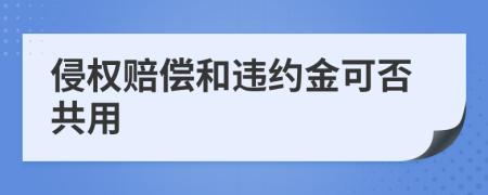 侵权赔偿和违约金可否共用