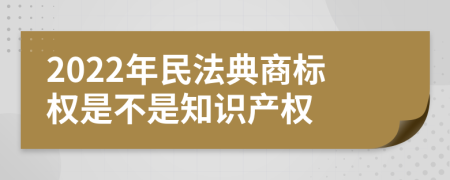 2022年民法典商标权是不是知识产权