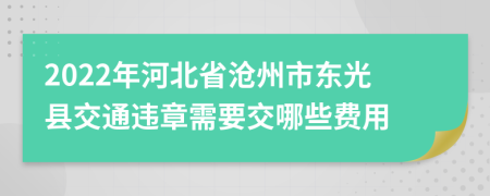 2022年河北省沧州市东光县交通违章需要交哪些费用