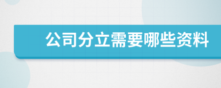 公司分立需要哪些资料