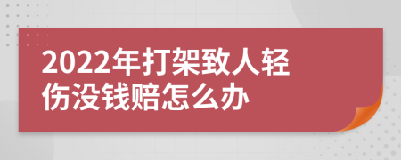 2022年打架致人轻伤没钱赔怎么办