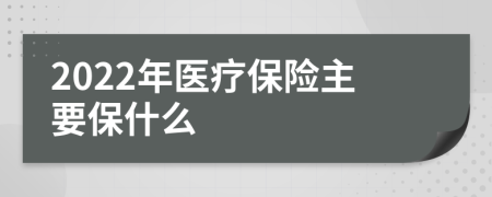 2022年医疗保险主要保什么