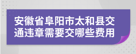 安徽省阜阳市太和县交通违章需要交哪些费用