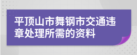 平顶山市舞钢市交通违章处理所需的资料