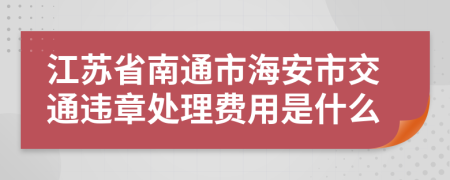 江苏省南通市海安市交通违章处理费用是什么
