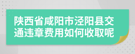 陕西省咸阳市泾阳县交通违章费用如何收取呢