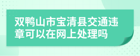 双鸭山市宝清县交通违章可以在网上处理吗