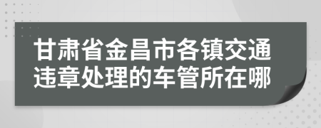 甘肃省金昌市各镇交通违章处理的车管所在哪