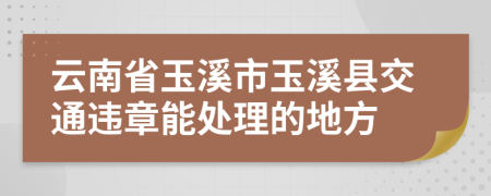 云南省玉溪市玉溪县交通违章能处理的地方