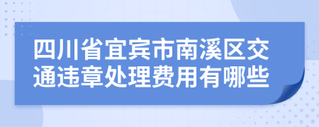 四川省宜宾市南溪区交通违章处理费用有哪些