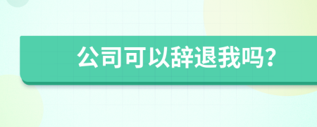 公司可以辞退我吗？