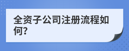 全资子公司注册流程如何？