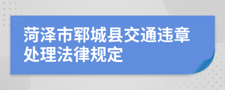 菏泽市郓城县交通违章处理法律规定