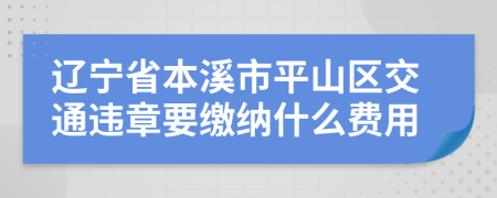 辽宁省本溪市平山区交通违章要缴纳什么费用
