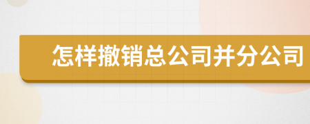 怎样撤销总公司并分公司