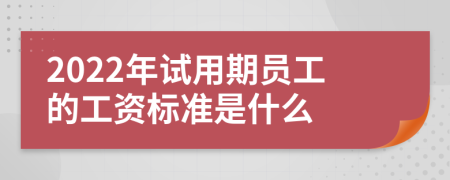 2022年试用期员工的工资标准是什么