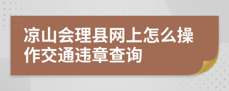 凉山会理县网上怎么操作交通违章查询