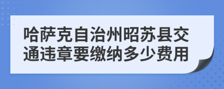 哈萨克自治州昭苏县交通违章要缴纳多少费用