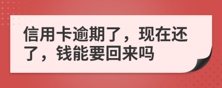 信用卡逾期了，现在还了，钱能要回来吗