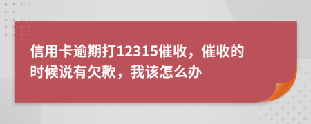 信用卡逾期打12315催收，催收的时候说有欠款，我该怎么办